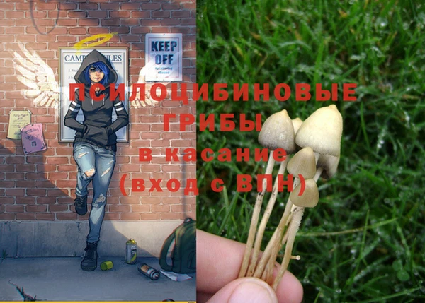 стафф Осинники