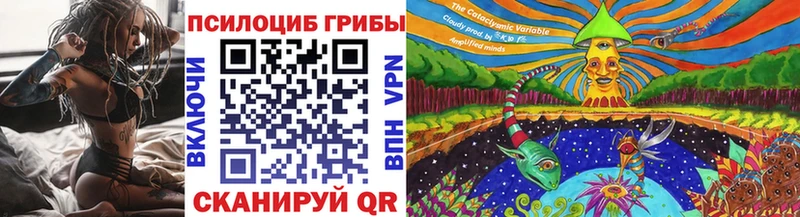 цена наркотик  Куса  Галлюциногенные грибы Cubensis 